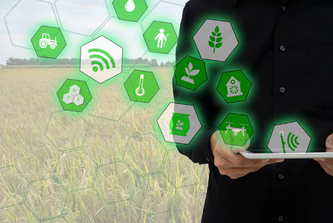 物联网与人工智能在智慧农业中的应用 | 信息化和软件服务网 - 助力